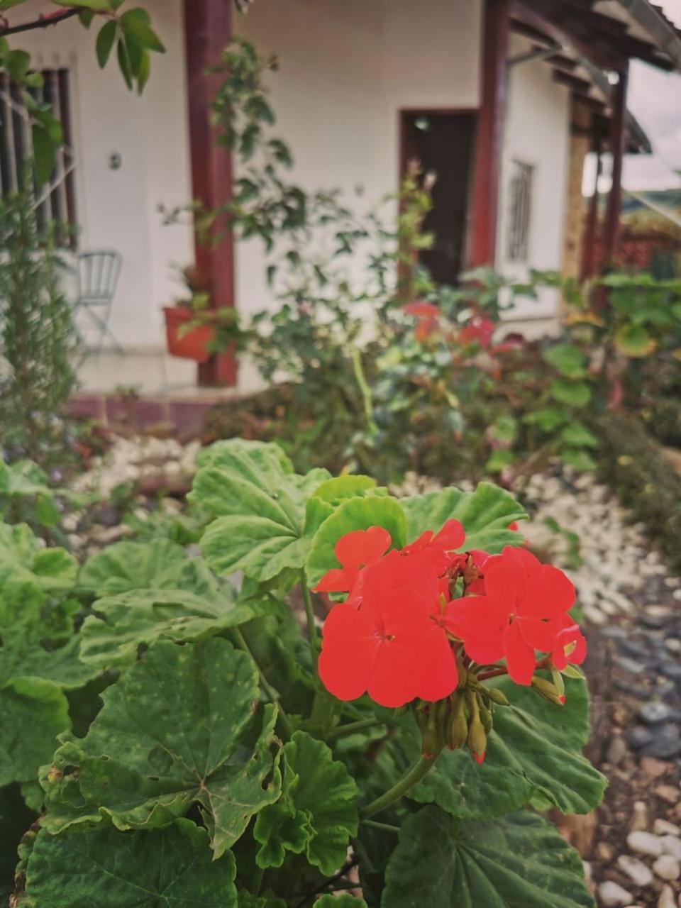 La Cabana - サマイパタ エクステリア 写真